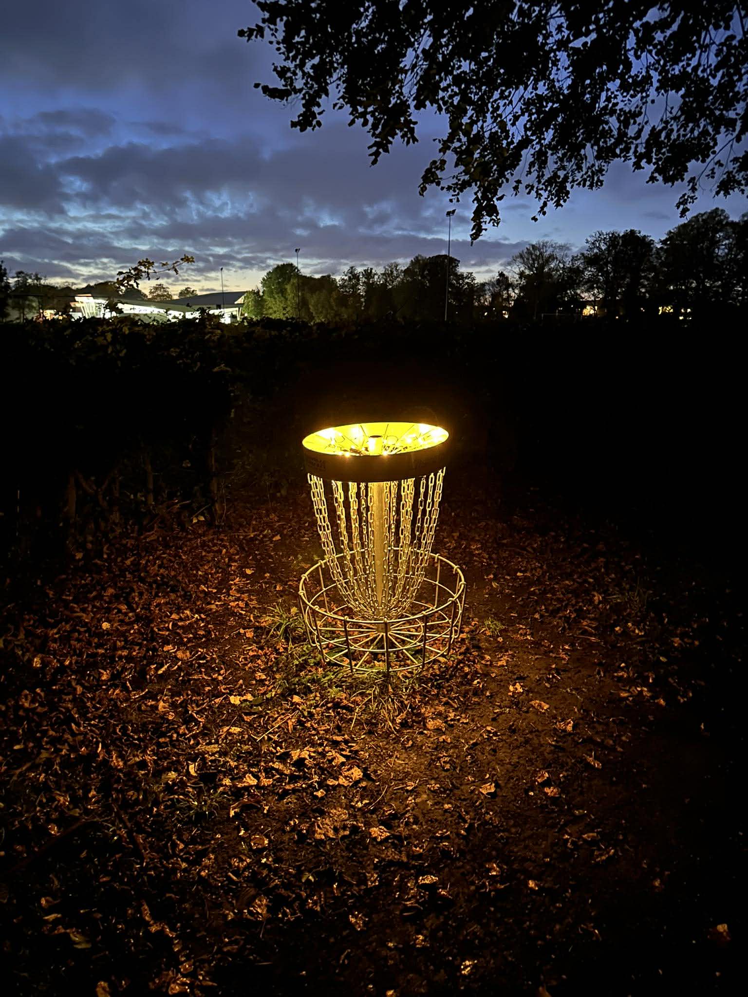 MDG glow disc